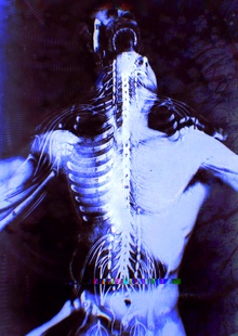 reject the flesh reject the flesh