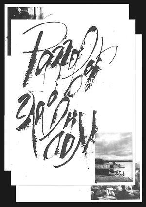 Документальный импрессионизм