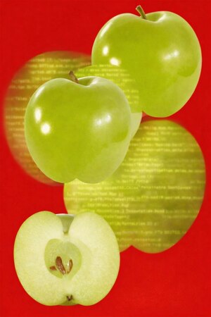 Анализ датасета FruitFusion