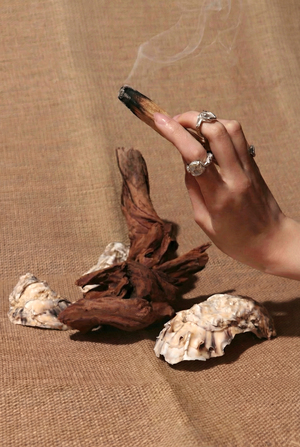 Предметная съемка ювелирной коллекции «ксилолит»