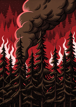 Анализ стихийных бедствий 2022-2025