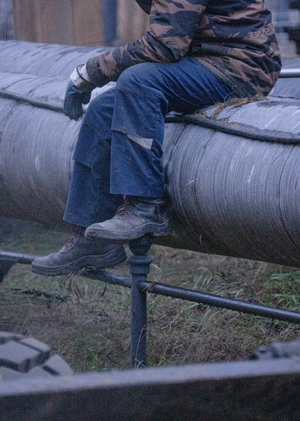 Предмет силы