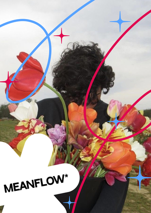 Медиа-стартап о смысле цветов MeanFlow*