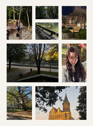 Сидим красиво | гайд по лучшим лавочкам Калининграда