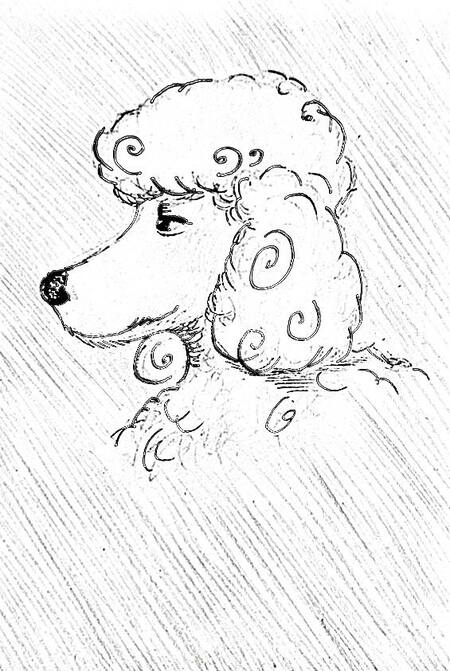 МОЙ КУДРЯВЫЙ АНГЕЛ