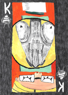 Колода энтомолога