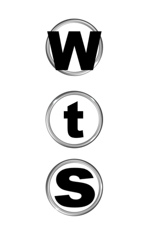 Wts? White t-shirt: ювелирный бренд простых форм