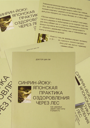 Синрин-йоку: японская практика оздоровления через лес
