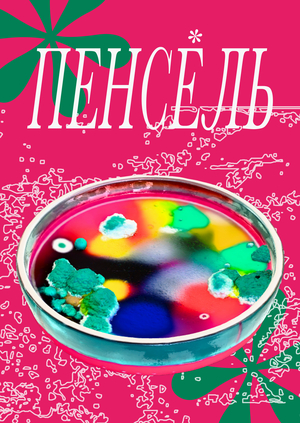 ПЕНСЕЛЬ