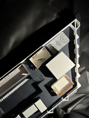 Макет выставки "По следам Баския"