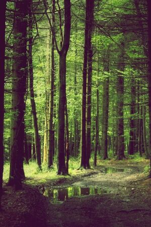 плакаты......