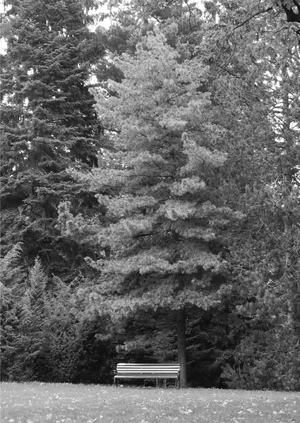 Третье место 