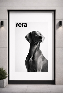Адаптация бренда для домашних животных fera