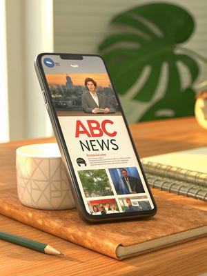 Язык новостей: анализ заголовков ABC News