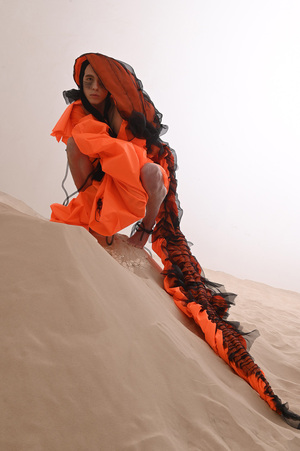 EVOLUTION OF EXPLOSION