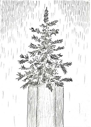 Зин «Симбиоз» 