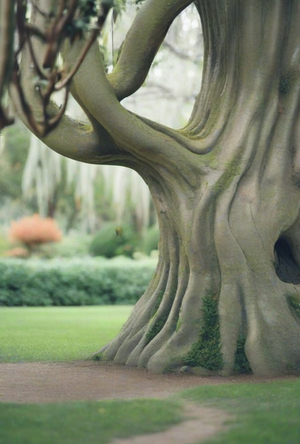 Ботанический сад «こもれび » глазами ИИ