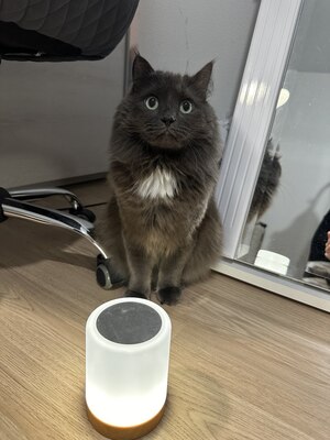 ттттттттттт