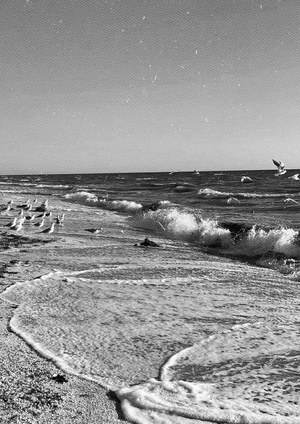 Азовское море