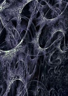 Six’th Sense
