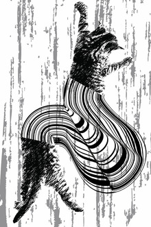 ШТРИХ—КОТ