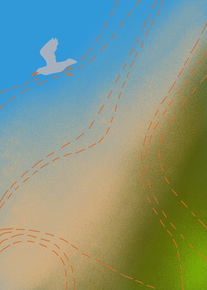 Жизнь мигрирующих птиц