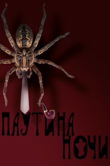 Плакаты для клуба-усадьбы для пауков «Паутина Ночи»
