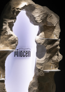Витрина для бренда Miocen