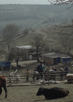 The Image of the Caucasus Through the Eyes of Sokurov's Studio Graduates