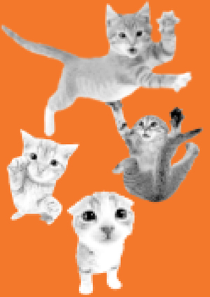 Визуализация данных о кошках