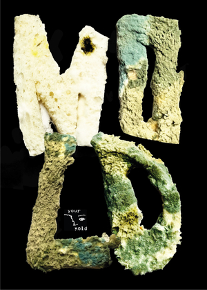 Плакаты для зоолаборатории «Your mold»