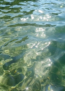 lake analysis
