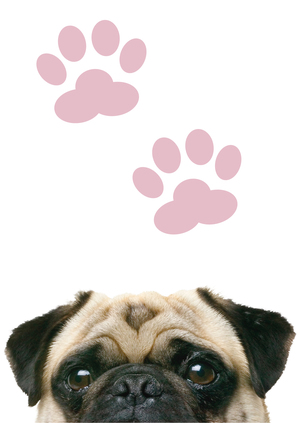 Разработка бренда сервиса по обмену домами с питомцами