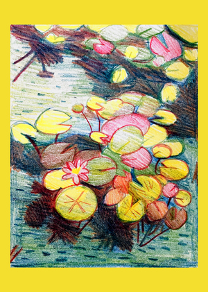 Зарисовки с арт-практики