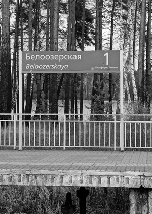 Путь в город: исследование взаимодействия акустики пригорода и мегаполиса