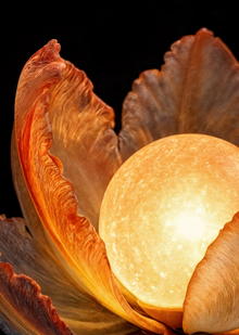LumenBloom