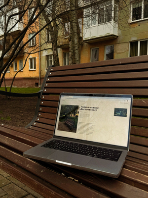 Сидим красиво | гайд по лучшим лавочкам Калининграда