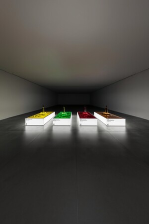 POS для бренда масла из виноградных косточек VIZELA