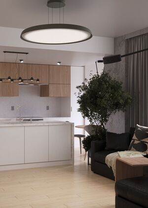 Дизайн-проект квартиры с видом на Гудзонов залив