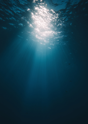 Изменения в океане: что говорят данные о состоянии морской среды