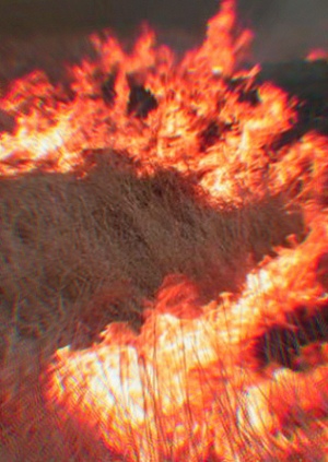 Аналитика пожаров черноземья