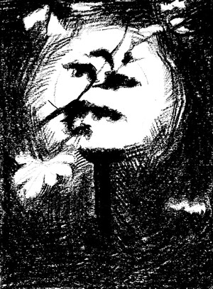 Анализ предисловий к "Преступлению и наказанию" Ф. М. Достоевского