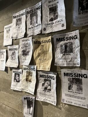 Статистика исчезновений людей в России