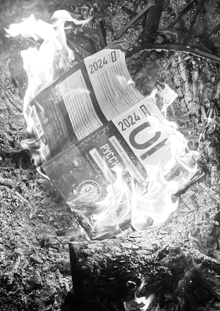 Анализ данных ОГЭ