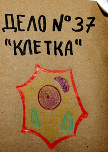 Клетка в&nbsp;клетке