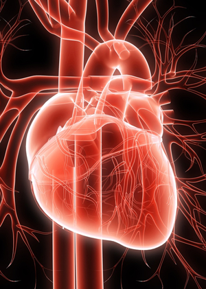 Анализ предикторов сосудистых патологий