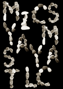 MAGURA