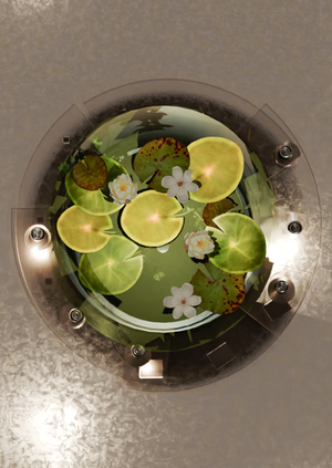 витрина для магазина yà n