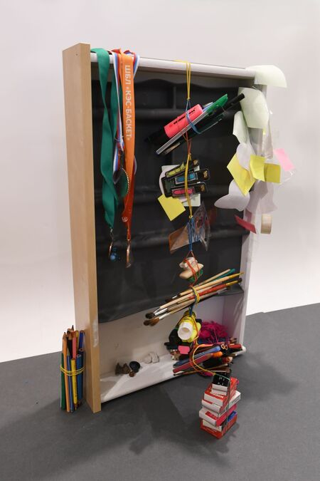 Анатомия беспорядка