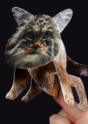 Стихозвери